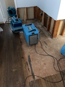 Mold_Restoration