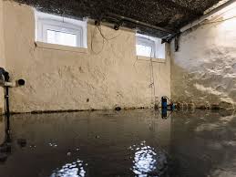 Water Restoration Near Me: When to Call a Pro for Help